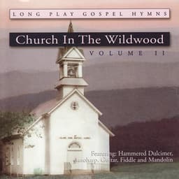Church In The Wildwood, Vol. II - Alisa Jones