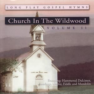 Church In The Wildwood, Vol. II - Alisa Jones