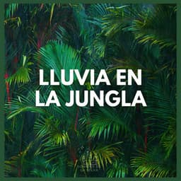 Lluvia en la Jungla - Sonidos De La Selva
