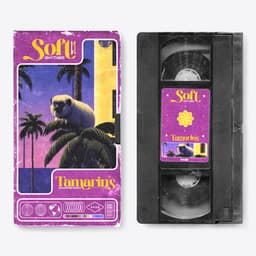 Soft Rhythms: Tamarin's Whispering Waves - Soothing Dog Sounds