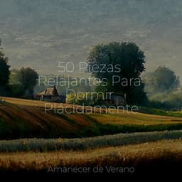 50 Piezas Relajantes Para Dormir Plácidamente - Massage Therapy Music
