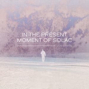 In the Present Moment of Solace - Joe Mantis