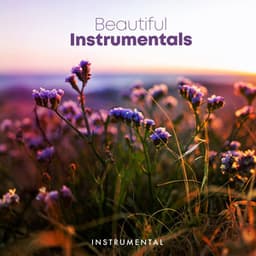 Beautiful Instrumentals - Instrumental