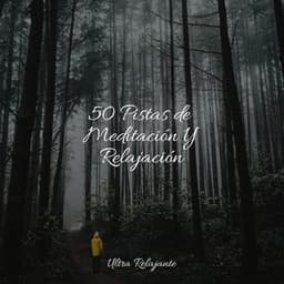 50 Pistas de Meditación Y Relajación - Yoga Para Ninos