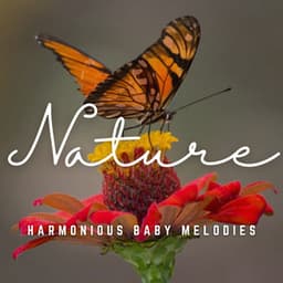 Cradle Serenades: Harmonious Baby Melodies - The Amnesias