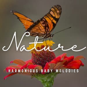 Cradle Serenades: Harmonious Baby Melodies - The Amnesias