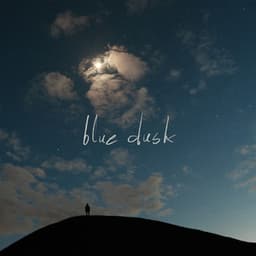 blue dusk - Julius Aglinskas