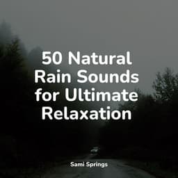50 Natural Rain Sounds for Ultimate Relaxation - Water Soundscapes