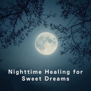 Nighttime Healing for Sweet Dreams - Relaxing BGM Project