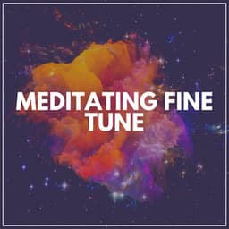 Meditating Fine Tune - Yoga