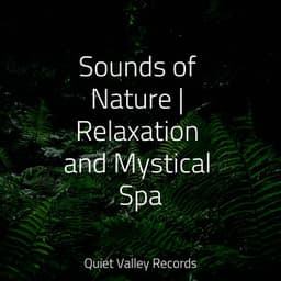 Sounds of Nature | Relaxation and Mystical Spa - Sleeping Music