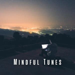 Mindful Tunes: Chill Music for a Work-Life Balance - Anxiety Relief