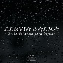 Lluvia Calma en la Ventana para Dormir - Lluvia para Dormir