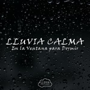 Lluvia Calma en la Ventana para Dormir - Lluvia para Dormir
