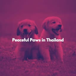 Peaceful Paws in Thailand - Afternoon Chill Out Playlist