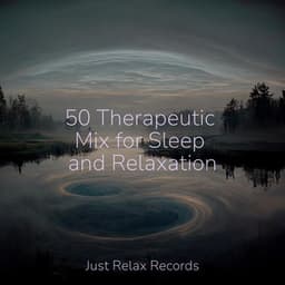 50 Therapeutic Mix for Sleep and Relaxation - MÚSICA PARA NIÑOS