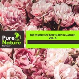 The Essence of Deep Sleep in Nature, Vol. 5 - Nature Field Recordings