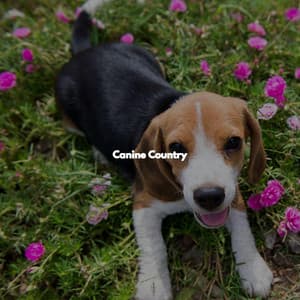 Canine Country - Restaurante Jazz