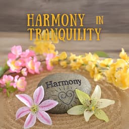 Harmony in Tranquility: Peaceful Massage Sounds - Spa Music Paradise Zone