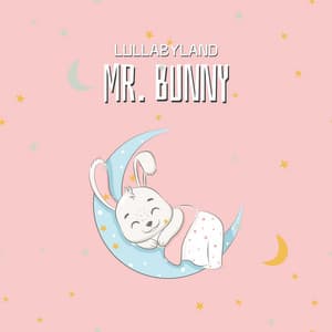 Mr. Bunny - Lullabyland