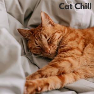 Cat Chill - Loopable, No Fade - Chiens relaxation profonde