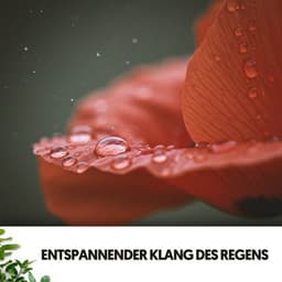 Entspannender Klang des Regens: Gelassenheit im Sturm - Ruido Blanco Hart