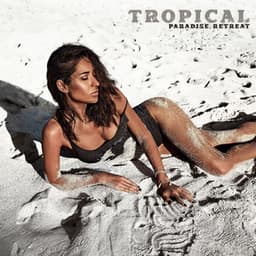 Tropical Paradise Retreat: Beachfront Lounge Chillout, Sunset Party Summer Vibes, Island Escape - Dj Tiestoo