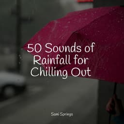 50 Sounds of Rainfall for Chilling Out - Relaxing Nature Sounds Collection