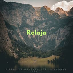 Relaja: Vibras De Domingo Por La Mañana Vol. 1 - Nación Lofi Hip Hop