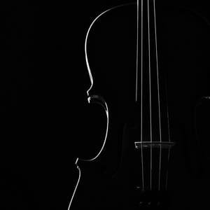 Symphony of Softness: Orchestra Calm - Charles Anderson