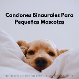 Pequeños Ritmos De Canciones Binaurales Para Pequeñas Mascotas - Colectivo Binaural