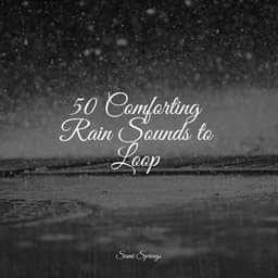 50 Comforting Rain Sounds to Loop - Nature's Symphony