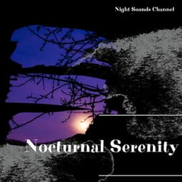 Nocturnal Serenity: Tranquil Nightscapes - Night Sounds Channel