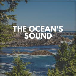 The Ocean's Sound - Sounds of Nature Noise