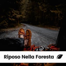 Riposo Nella Foresta - Suoni Naturali