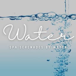 Aqua Tranquility: Spa Serenades with Water's Embrace - Waves Central