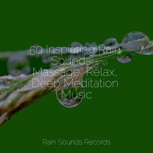 50 Inspiriting Rain Sounds - Massage, Relax, Deep Meditation Music - Spa Relaxation