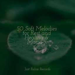 50 Soft Melodies for Rest and Healing & Massage - Study Music & Sounds