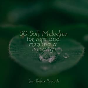 50 Soft Melodies for Rest and Healing & Massage - Study Music & Sounds