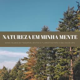 Natureza Em Minha Mente: Sons Calmos De Pássaros, Ventos E Florestas Para O Seu Dia De Spa - Música de Relaxamento No Spa