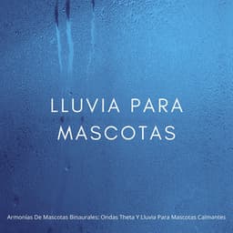 Armonías De Mascotas Binaurales: Ondas Theta Y Lluvia Para Mascotas Calmantes - Sonidos de lluvia tranquila