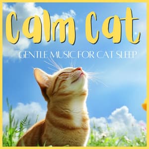 Calm Cat - Gentle Music for Cat Sleep - RelaxMyCat