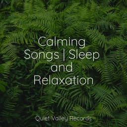 Calming Songs | Sleep and Relaxation - Reiki Tribe