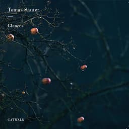 Glances - Tomas Sauter
