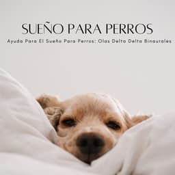 Ayuda Para El Sueño Para Perros: Olas Delta Delta Binaurales - Delta Ondas Puras