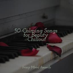 50 Calming Songs for Beauty Chillout - Sleepy Night Music