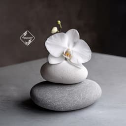 Pause présente: Vivre pleinement l'instant - Ensemble de Musique Zen Relaxante