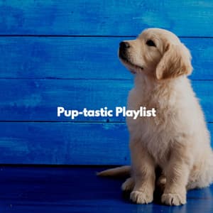 Pup-tastic Playlist - Atmospheric Coffee House Music