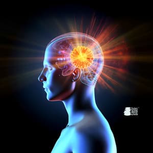 Superare l'ADHD Naturalmente: Ripristinare l'Armonia del Sistema Nervoso e Ritrovare l'Equilibrio Olistico - Relax musica zen club