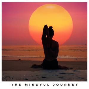 The Mindful Journey - Pilates Trainer